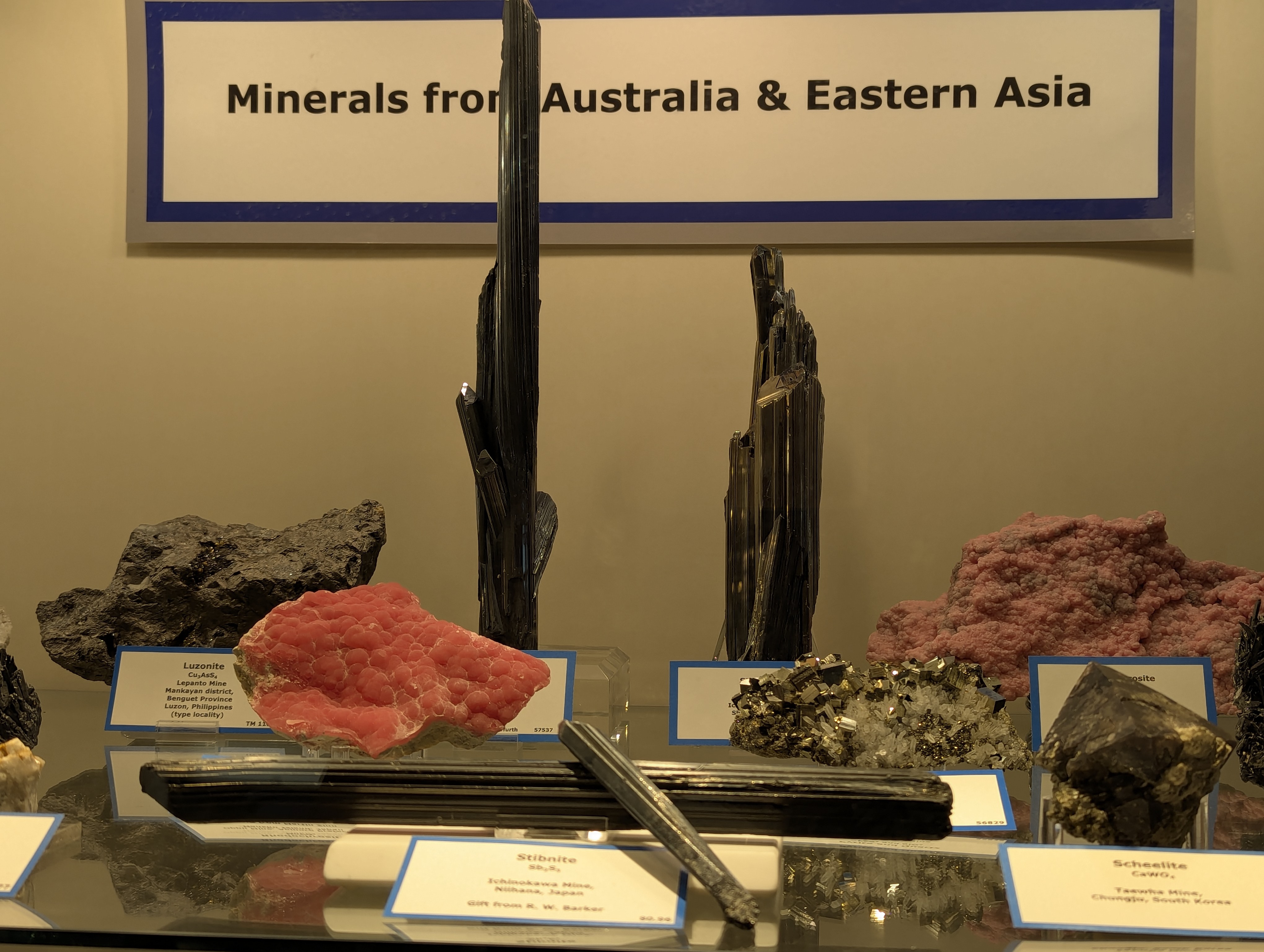 Colorado School of Mines, Geology Museum